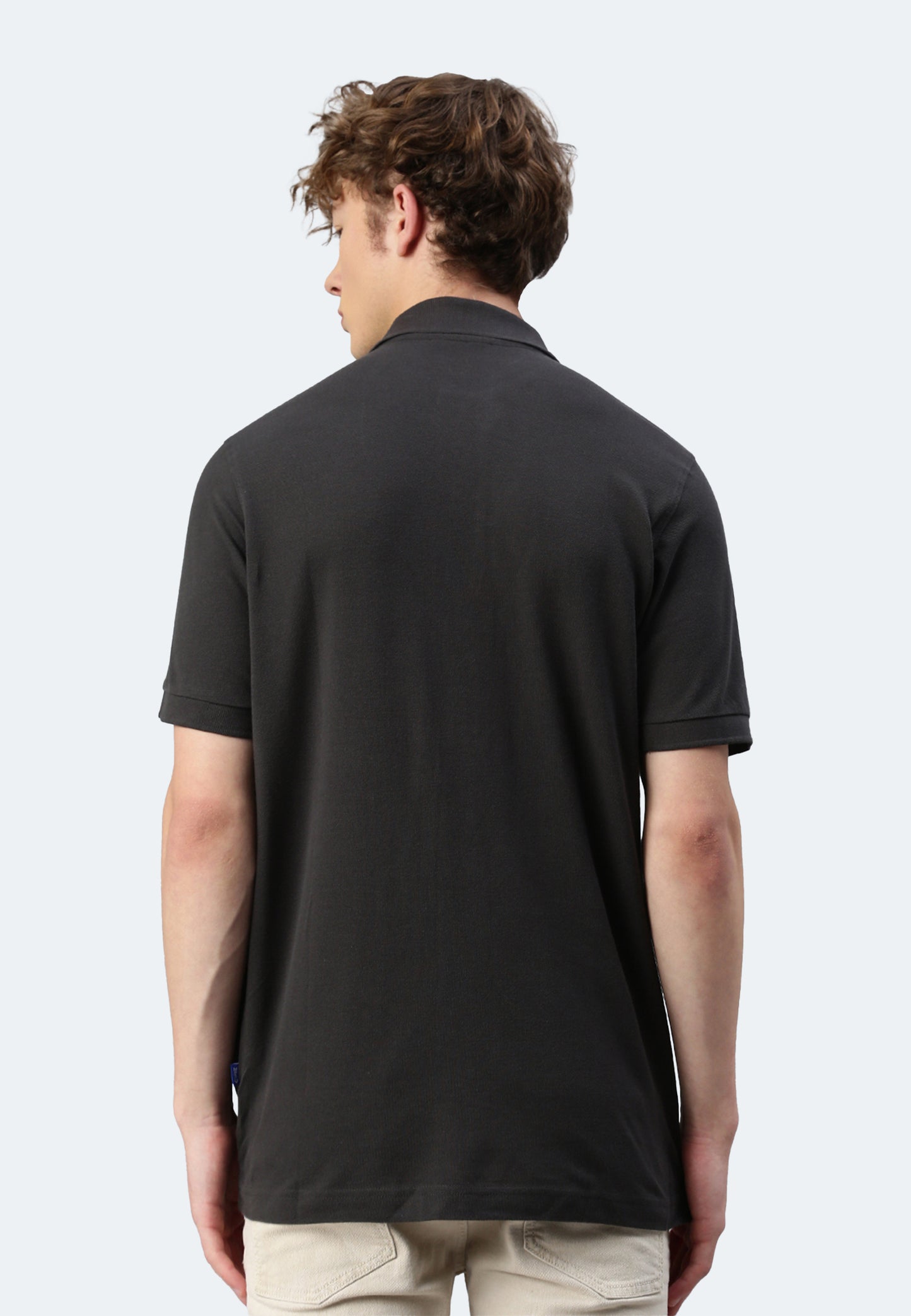 Switcher polo whale color/410 arsenic