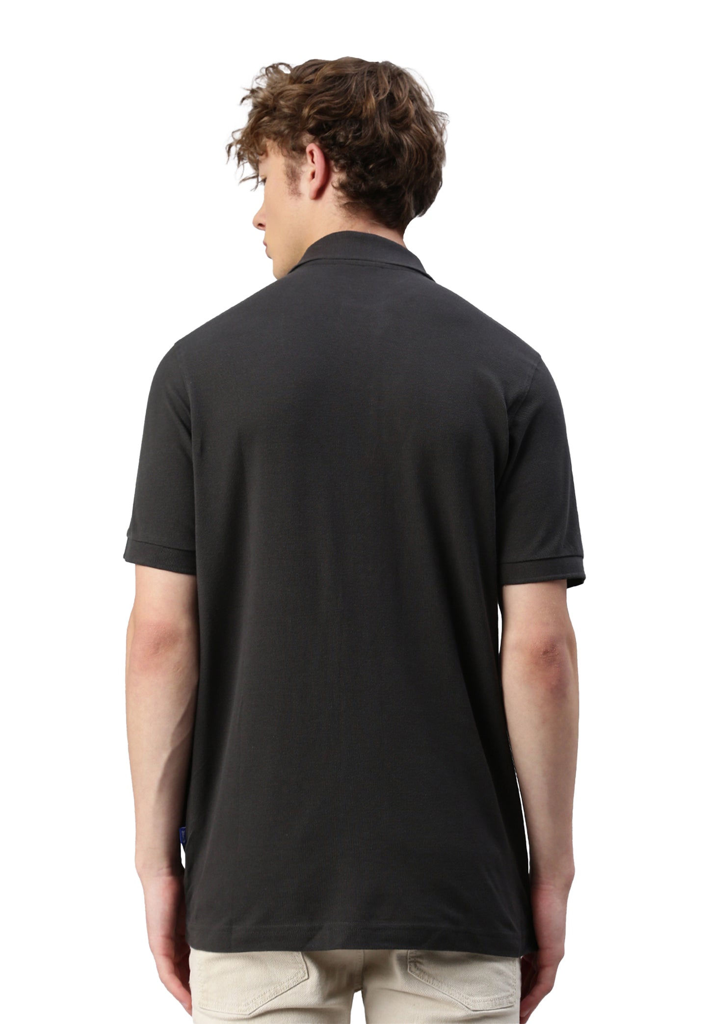 Switcher polo whale color/410 arsenic