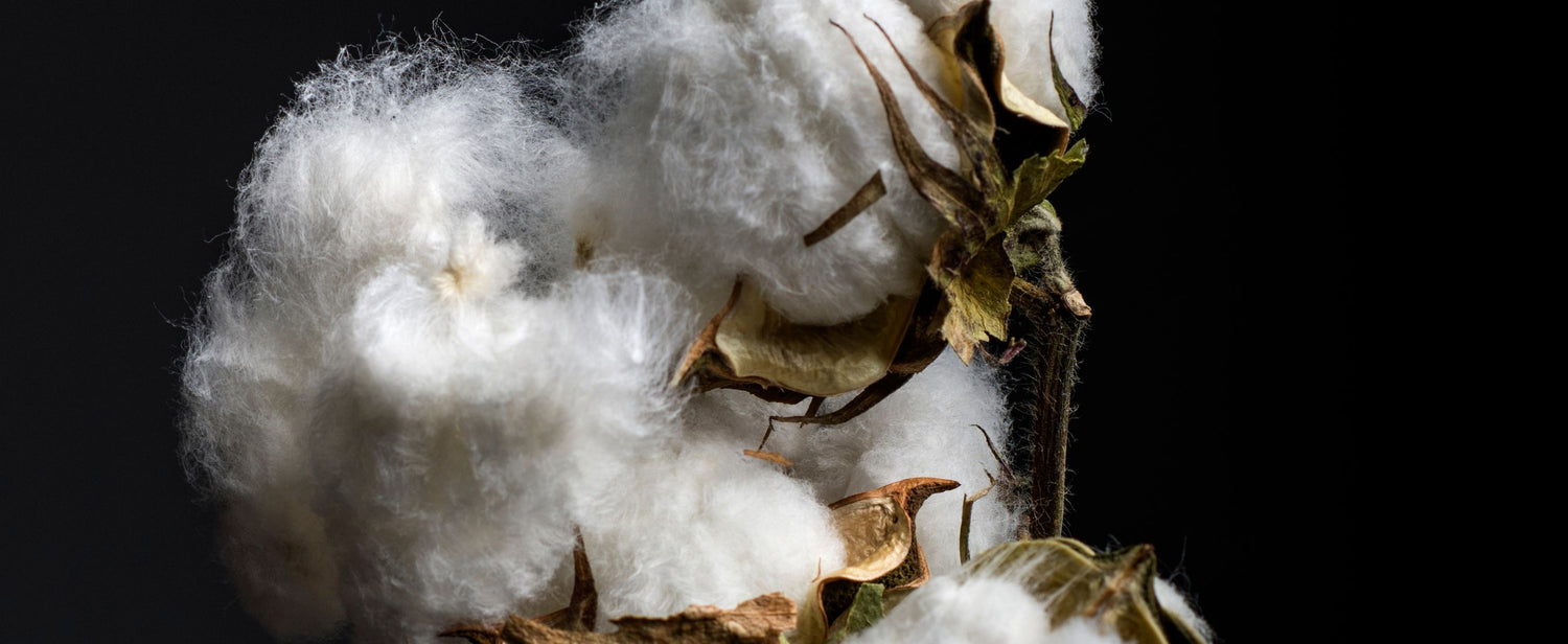 SWITCHER ORGANIC COTTON COLLECTION