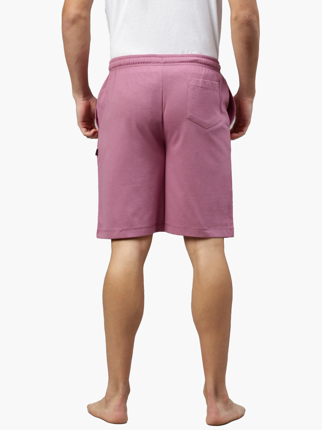 Bermuda shorts Daytona 8208