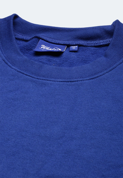 Switcher long sleeve whale color/259 ocean