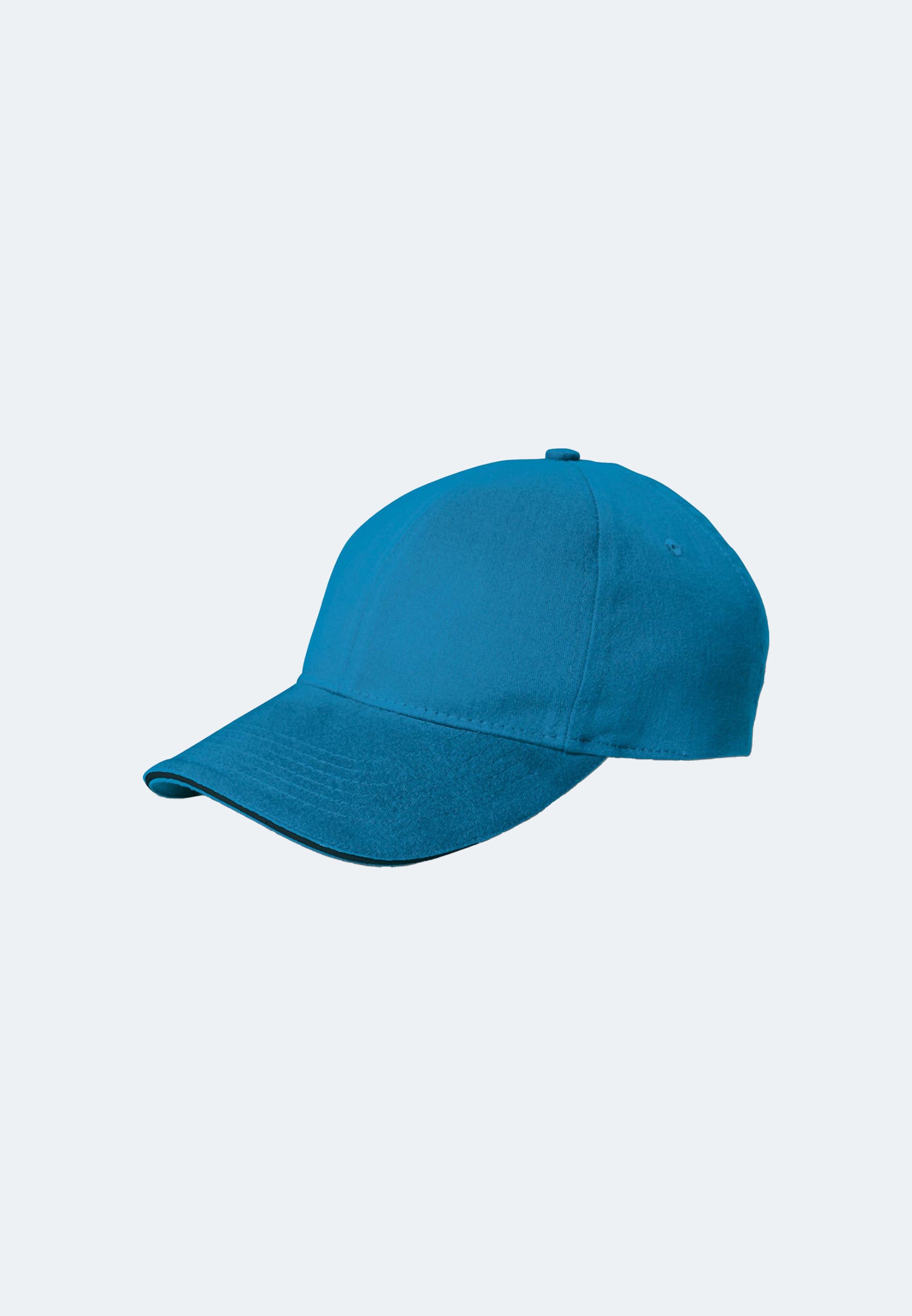Twill Sandwich Cap Churchill