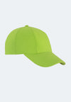 364 Lime