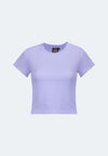 144 Lavender