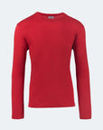 Switcher long sleeve whale color/rouge